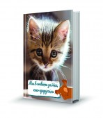 Мы в ответе_кошки_имитация книжки